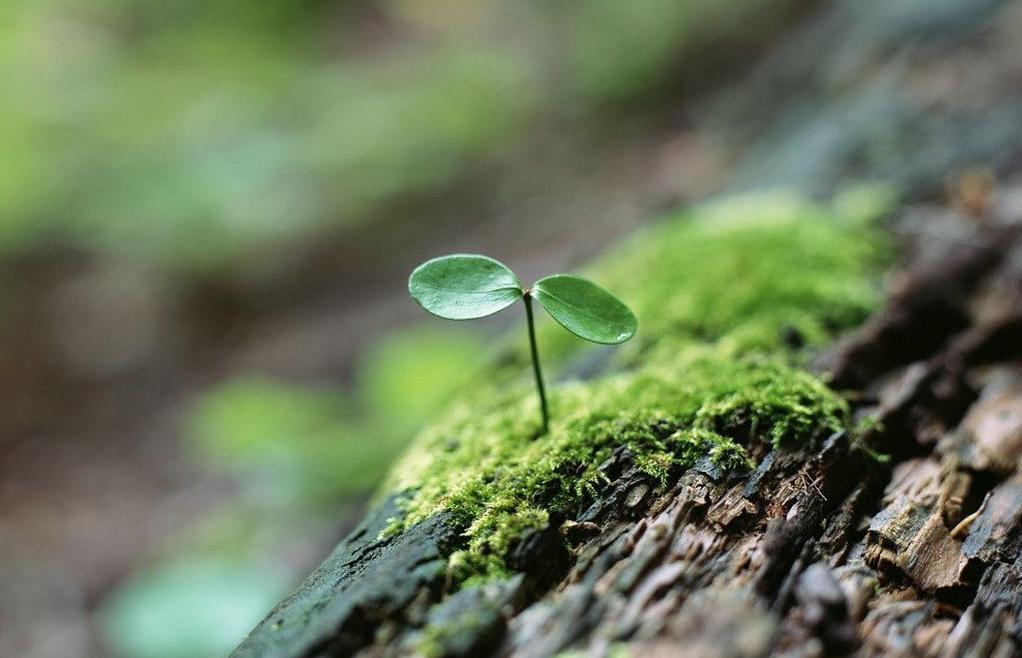 易经创业100个方法,易经中的创业八字