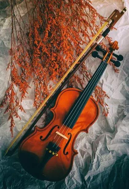 初学者学小提琴的真实现状,带你体验小提琴的魅力