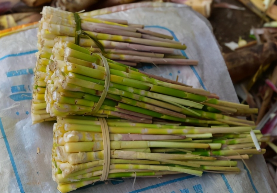 生长在深山老林，比苦瓜还苦，初春又上市，1斤20元，值得去采