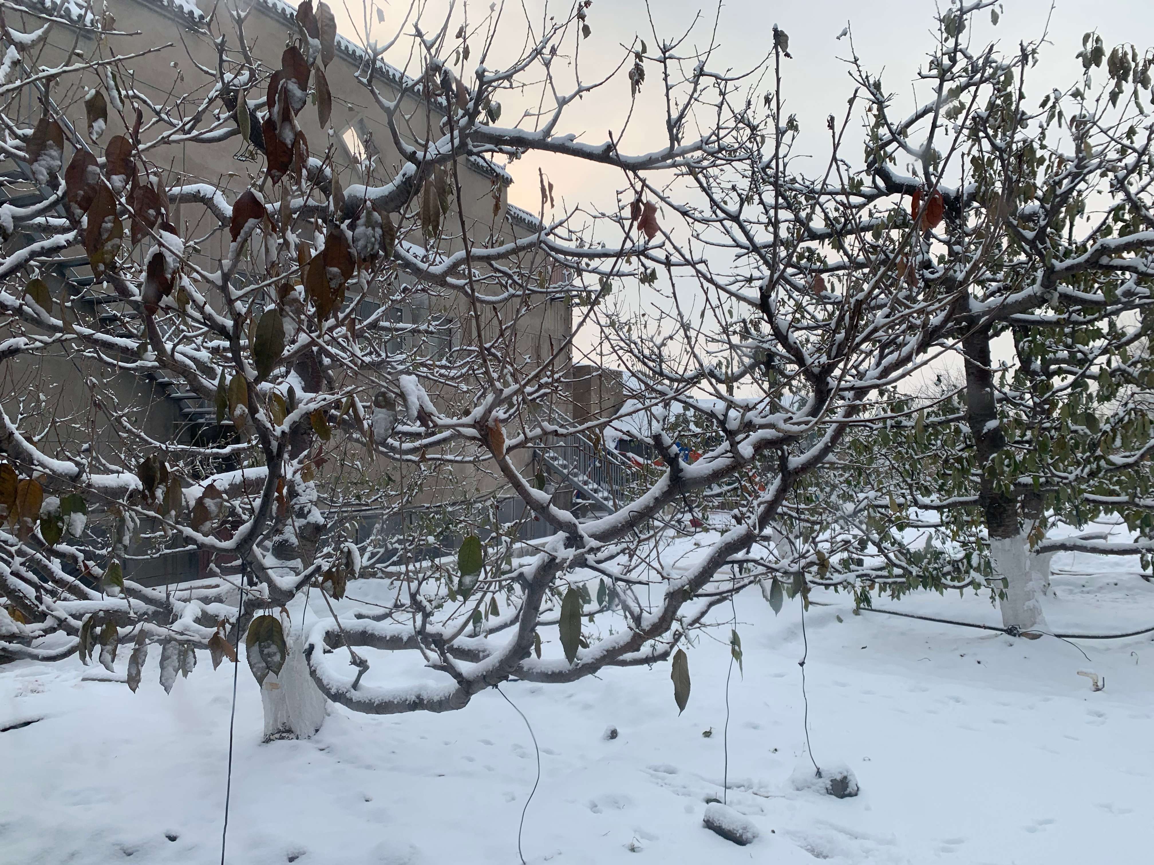 梦解红楼完整版,甄士隐梦幻通灵贾雨村