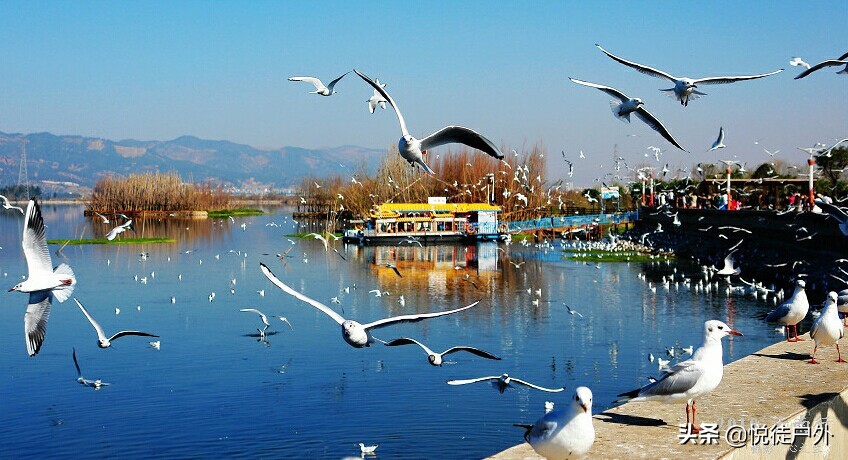 昆明自由行旅游攻略详细路线,昆明彩云之南旅游攻略