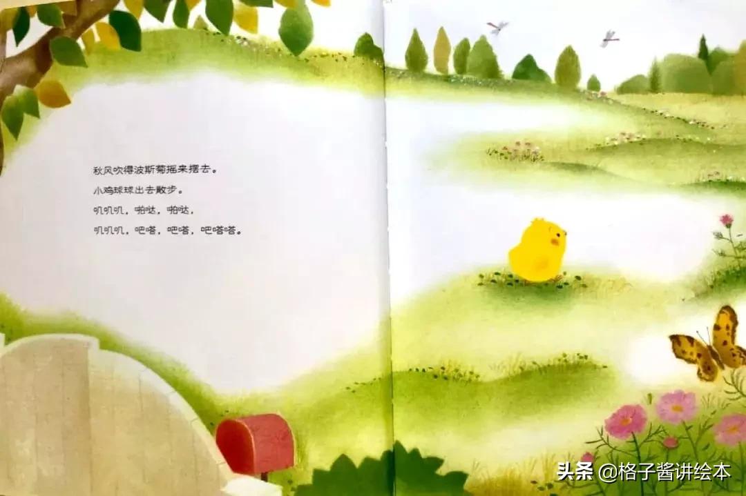 绘本推荐小鸡球球,小鸡球球和小刺猬绘本讲解