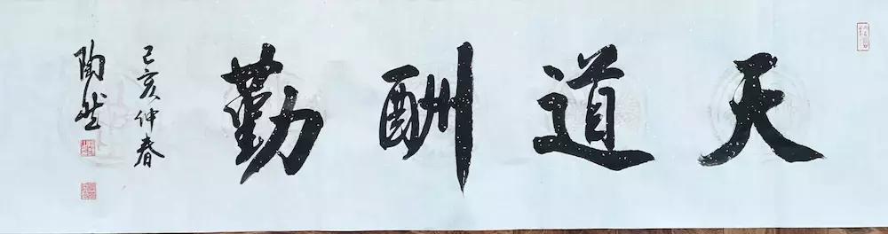 仰之弥高—谈陶然先生“以文化书”和“以书呈文”的境界