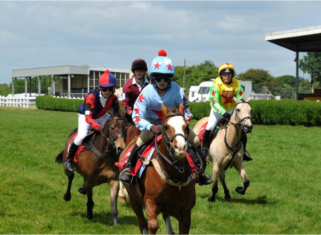 逐渐兴起的Pony和澳洲小马俱乐部体系路在何方？