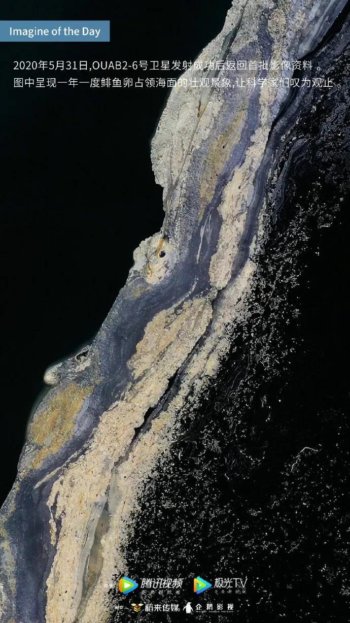 平面海报都有啥,2020年21张海报回忆这一年