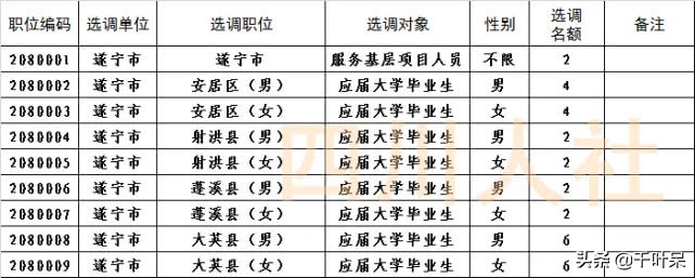 四川省选调生基层工作公告,四川省2020选调大学生到基层