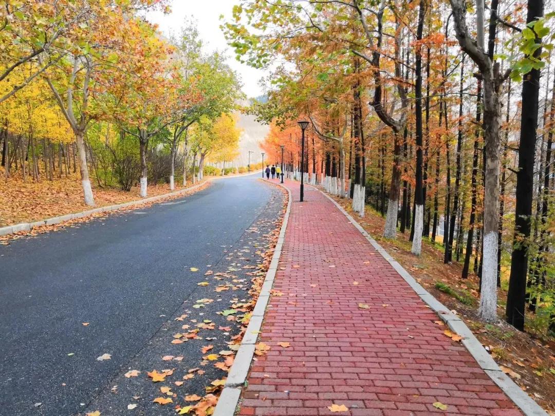 辽宁大连民办大学,大连辽宁二本大学