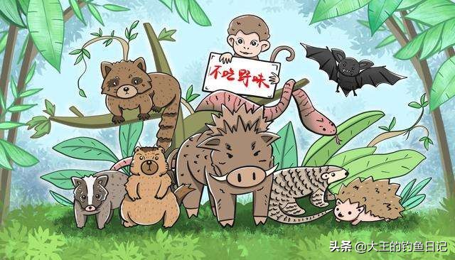 中华鳖保护动物,鳖是国家一级保护动物么