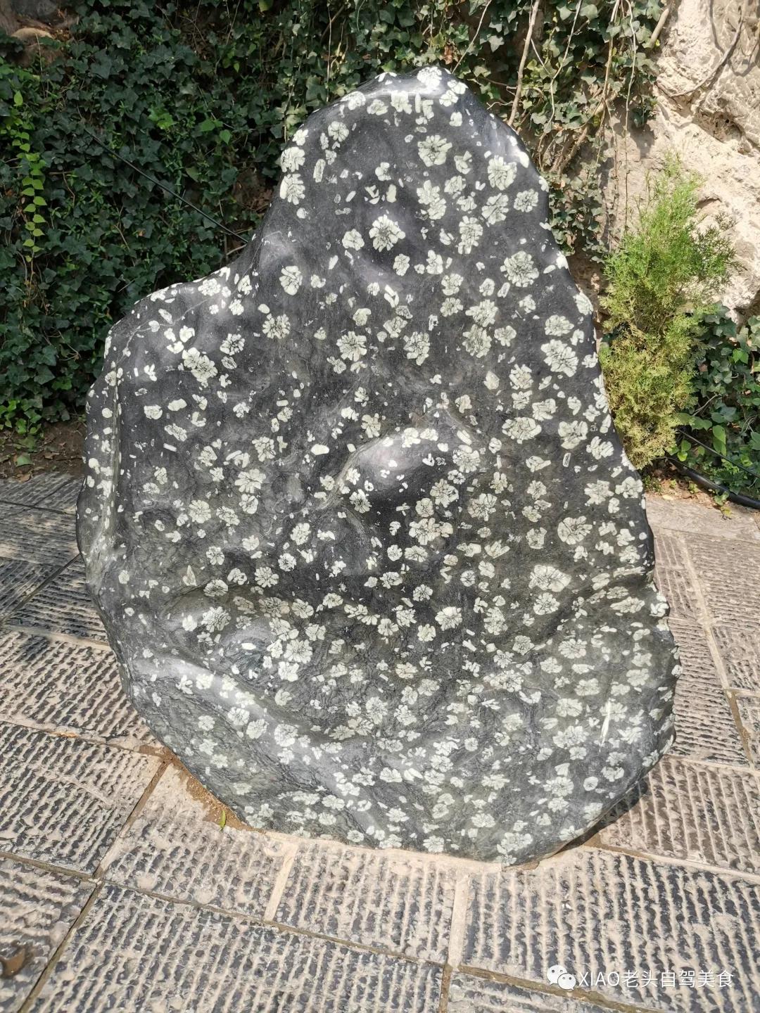 小老头自驾游,龙门石窟景区吃饭攻略