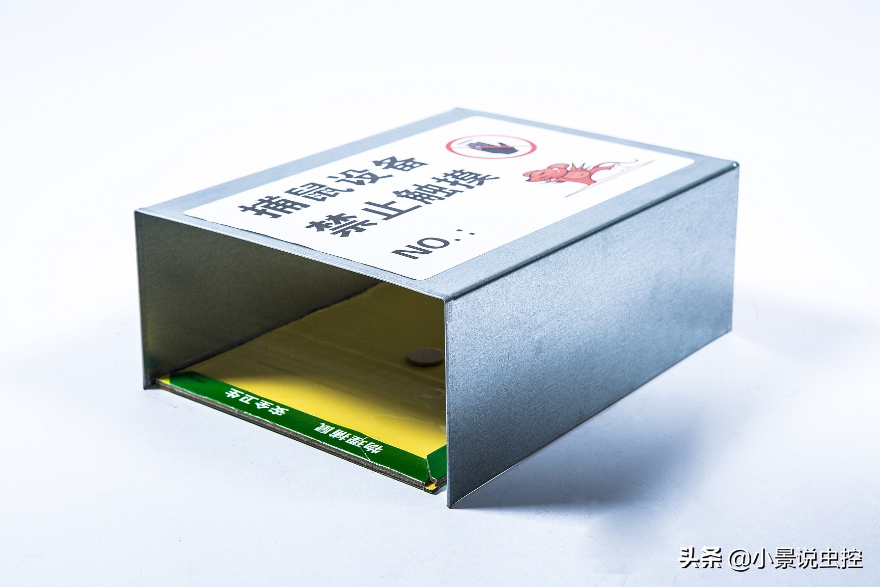 捕鼠神器粘鼠板粘死老鼠方式,捕鼠神器粘鼠板捕鼠高手一窝端