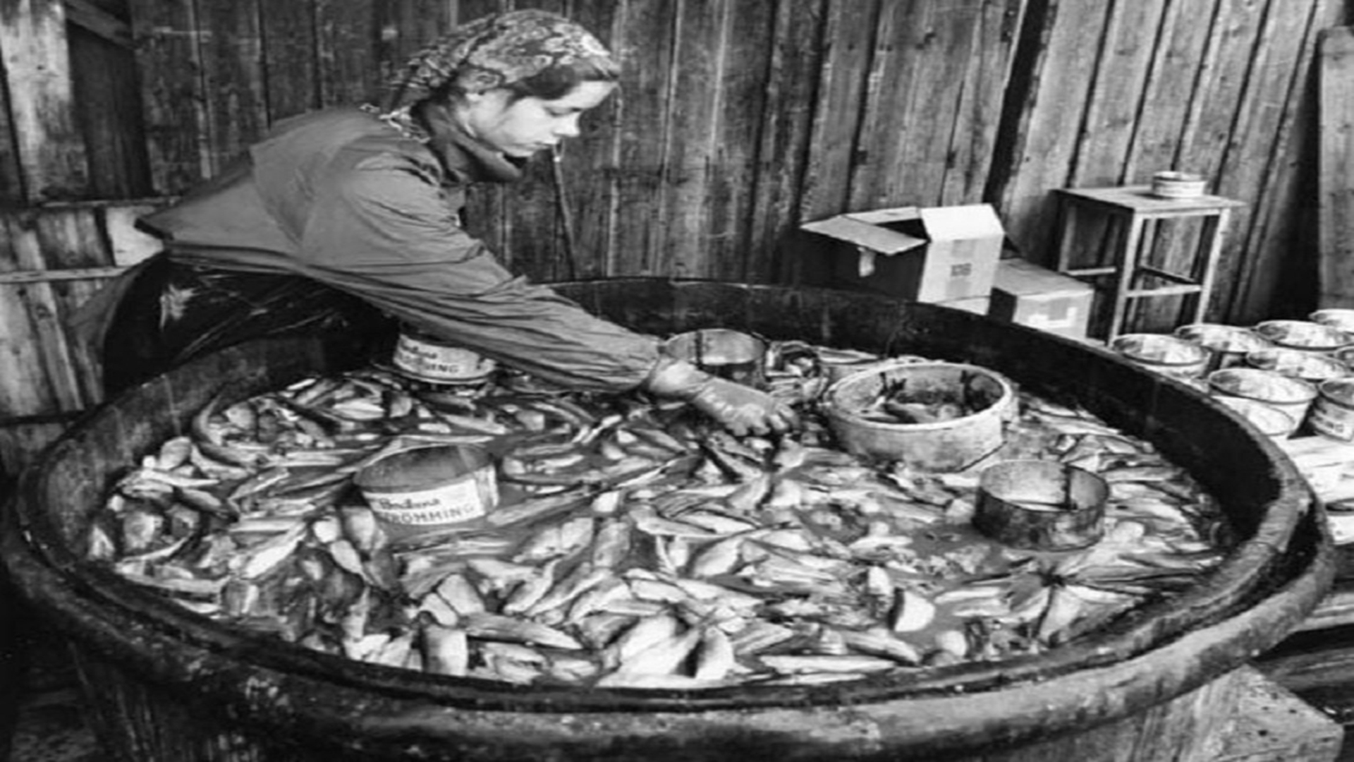 暗黑美食推荐,最恶心的十大黑暗美食