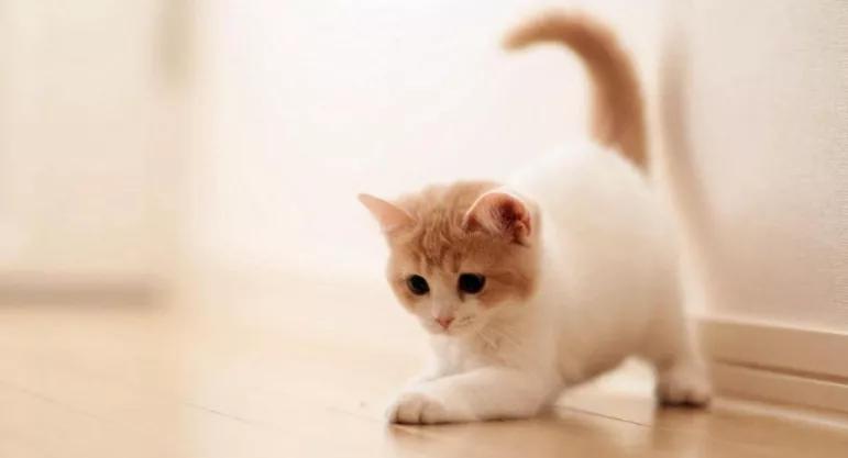 友情终成遗憾,友情和爱情的尽头