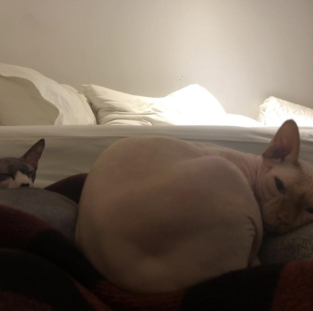 韩星刘亚仁58亿豪宅,韩星刘亚仁