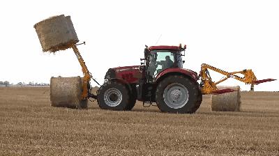 如何背单词先背词根,每日单词速记词根