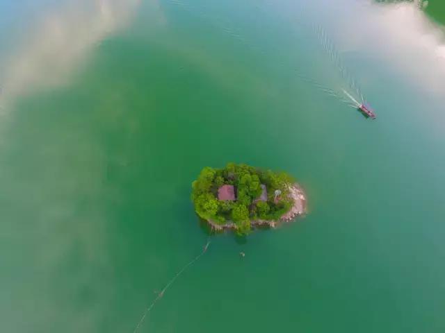 最美银杏秋景自驾攻略,杭州银杏树旅游攻略