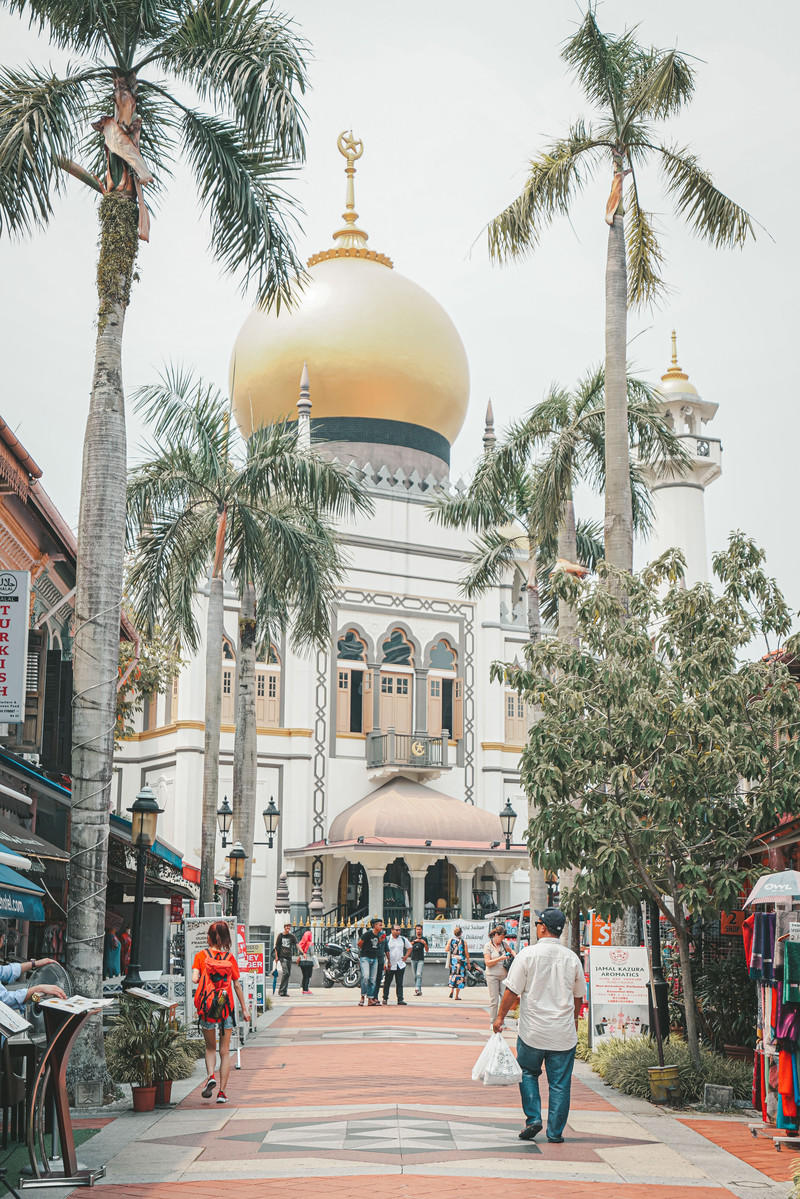 一人一猫环游,一人一猫旅行