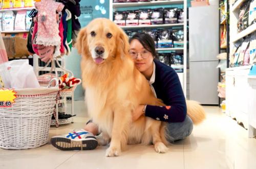 开一家宠物店的真实经历,开宠物店的心酸经历
