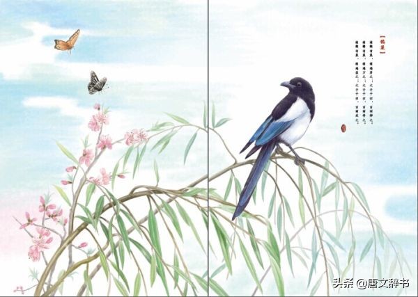 楚辞中适合做名字的词句,楚辞里面好听的词语