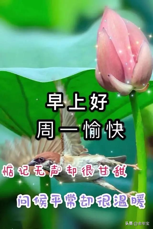 早上好周末愉快问候语动态表情包,周一早上好最新图片表情包