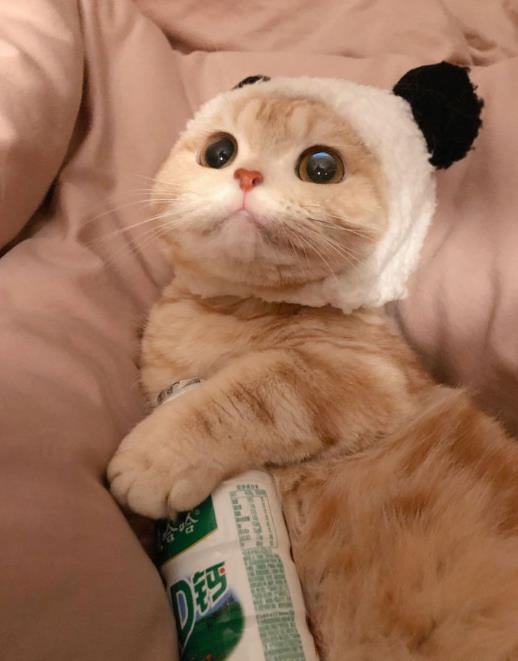 怎样知道自己有神,你知道眼睛的存在吗