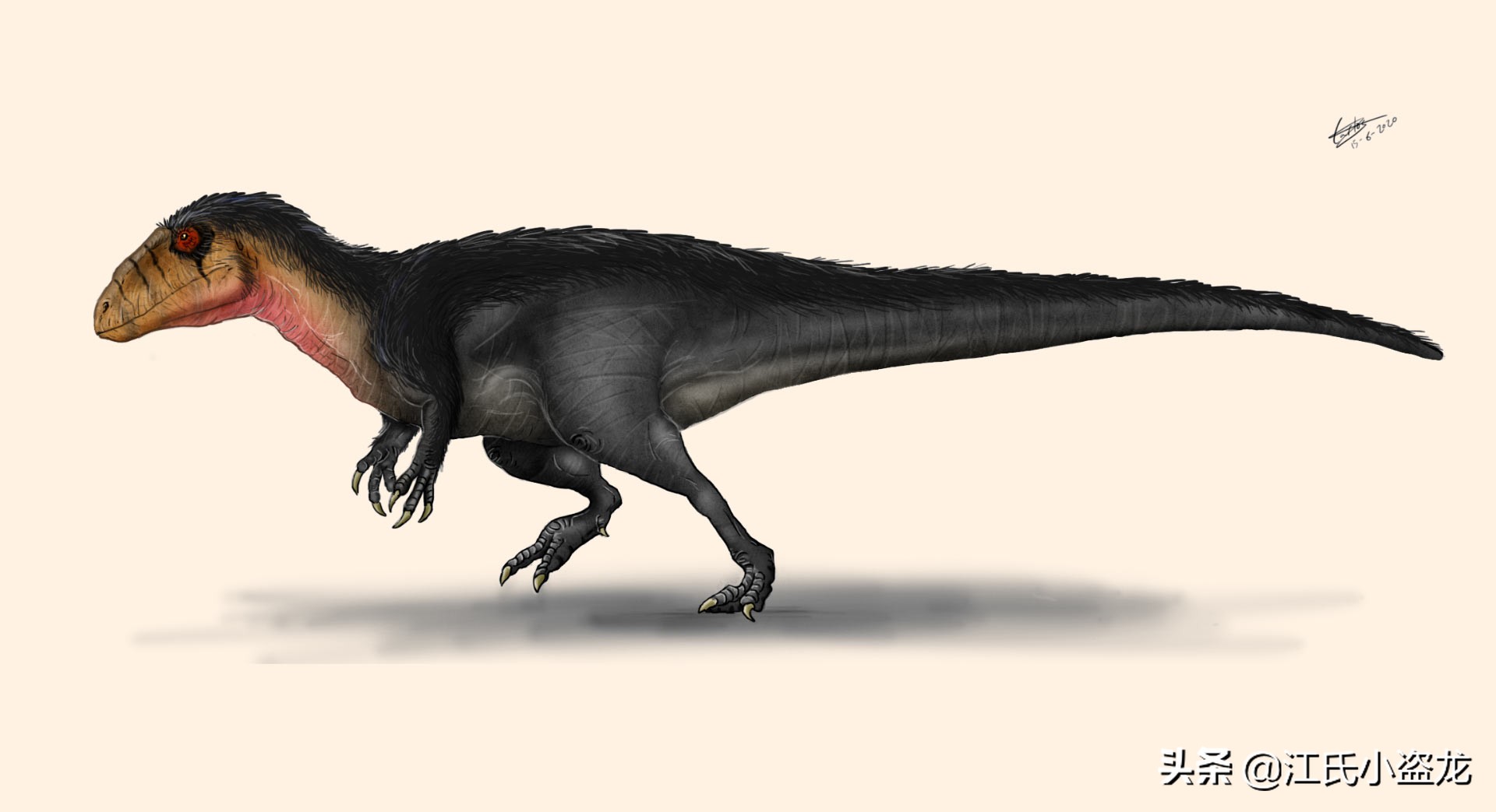 古生物时代有多少种恐龙,人类已经发现了多少恐龙种类