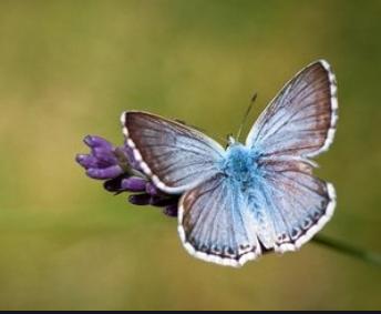 心理测试测你近期有什么惊喜,心理测试什么时候财运转好