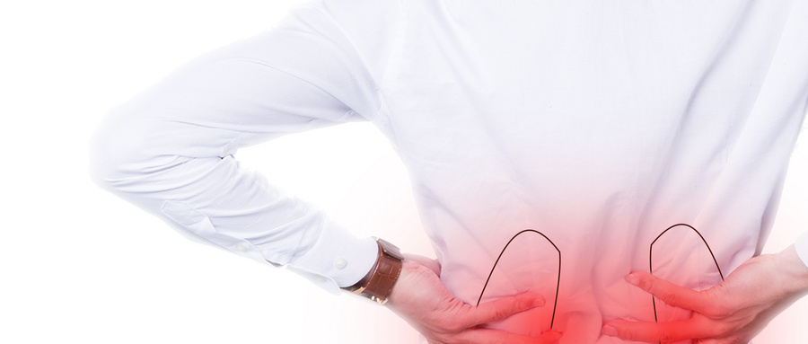 黑色补肾健脾食物,同时补肾阴又补肾阳的食物或药物