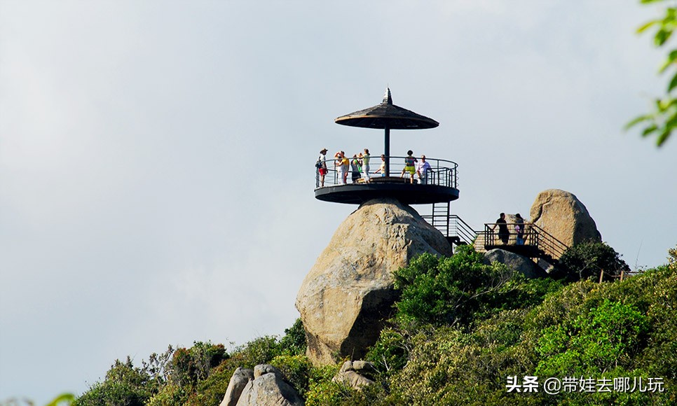 住三亚亚龙湾鸟巢酒店,亚龙湾森林热带天堂非诚勿扰