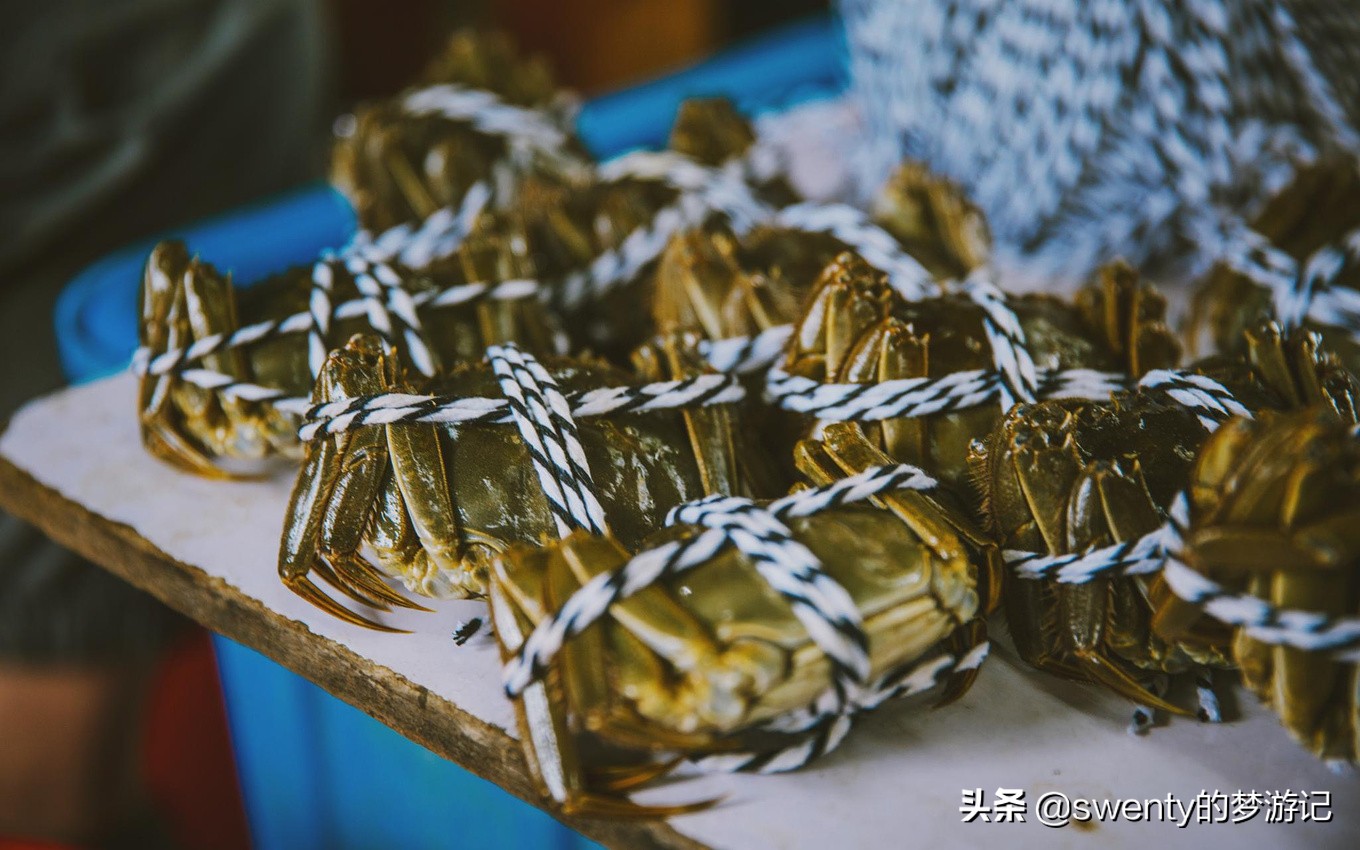 蟹肥芦花沙家浜久住逸庐,沙家浜游玩体验与感受