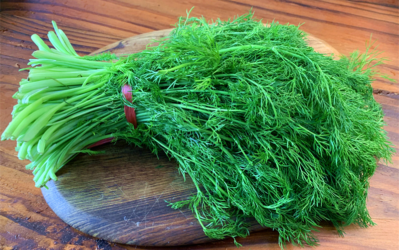 茴香饺子好吃有窍门，最忌直接拌馅，多加1步，茴香更翠绿更入味