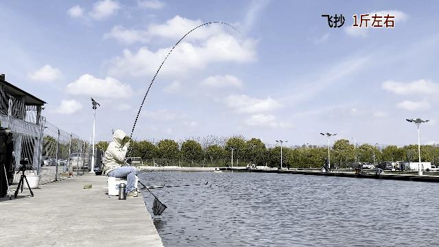 钓友公认十款性价比高的黑坑鱼竿,钓友公认黑坑十款性价比高的鱼竿