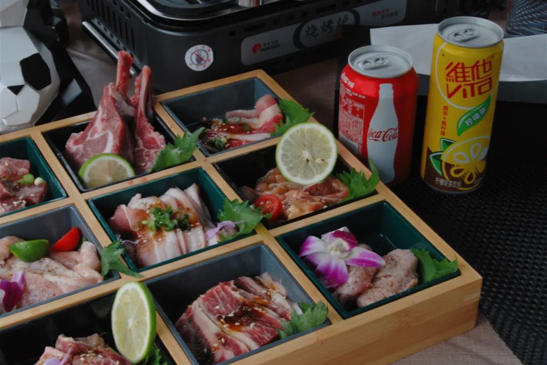 彭州太空舱营地,成都熊猫森林太空舱民宿