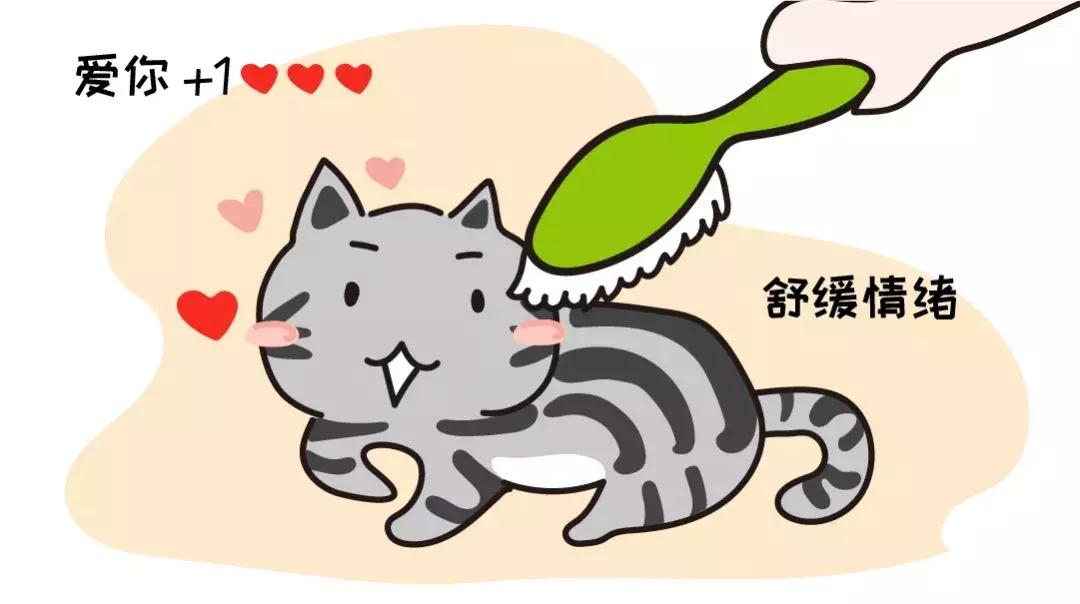 给猫咪舔毛猫咪为什么会舔我,猫咪疯狂舔毛舔得特别快是为什么