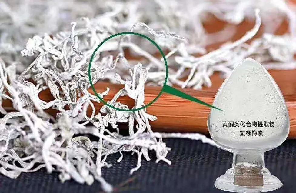 张家界的莓茶酥,张家界的莓茶是什么植物