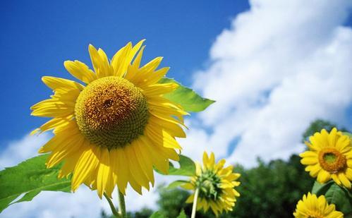 89年的我是如何一步一步负债150万的！（一位创业者的自述）