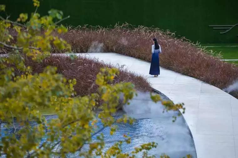 居住区植物景观设计原则,景观设计干货