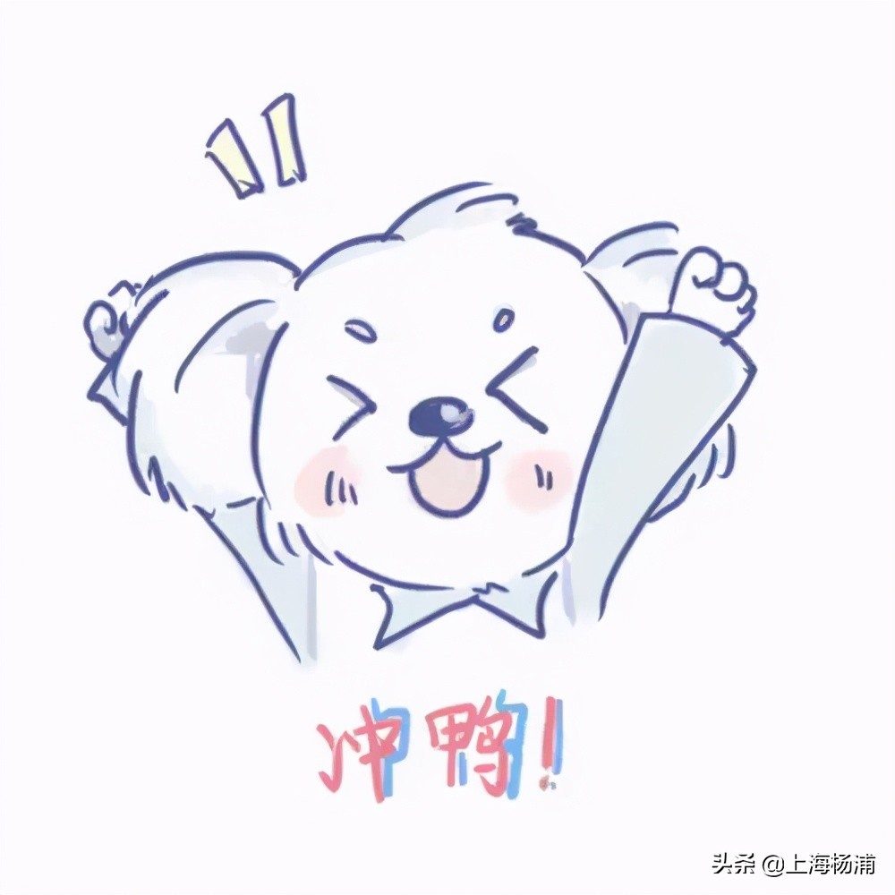 有哪些和草莓类似价格的平价水果,草莓贵族水果盘点