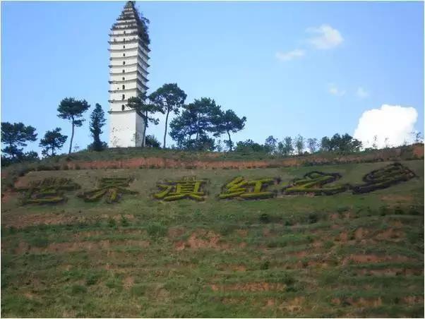 2017茶界大事,2019茶界十大事件