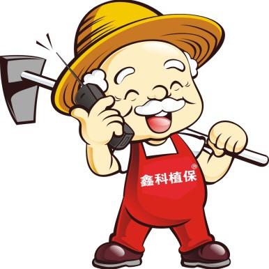 预防姜瘟病的方法,姜瘟病的预防与根治