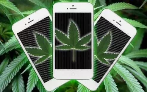 工业*麻大**：从北美火到中国，23个值得关注的行业机会