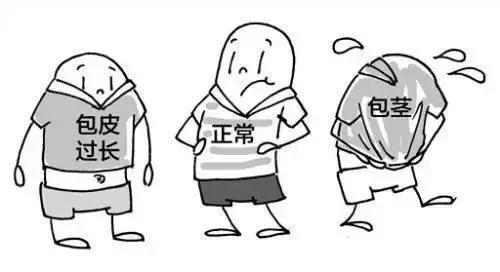科普你对包皮有过哪些误解,关于包皮手术的一些问题