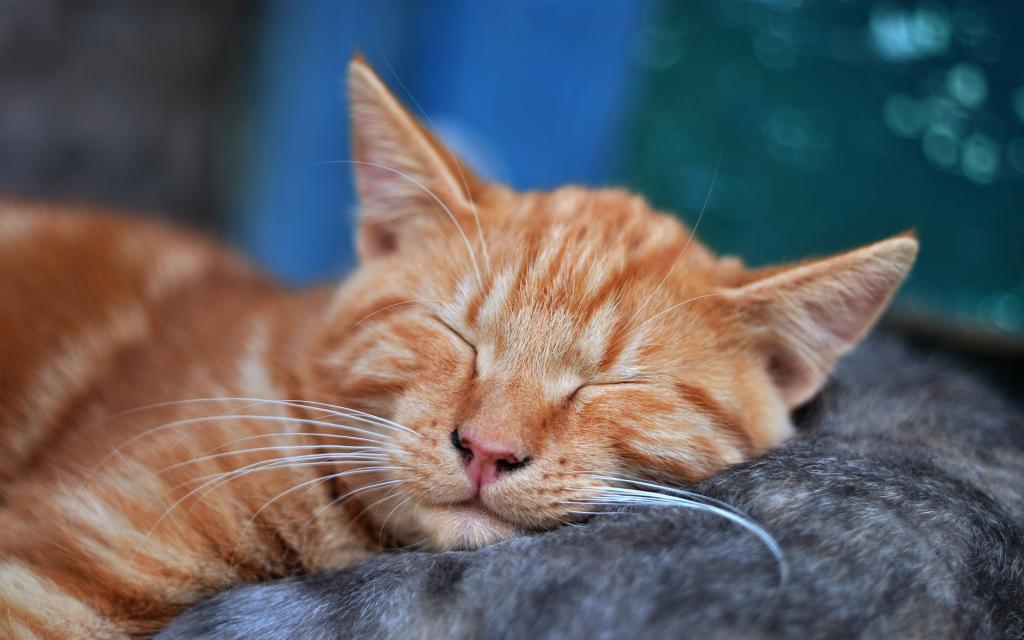 璞泰来、恩捷该起床干活啦~（宁德时代LPF“产能”逻辑已被验证）