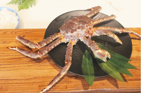 帝王蟹怎么处理？如何选购帝王蟹？哪种好吃？帝王蟹的五种吃法