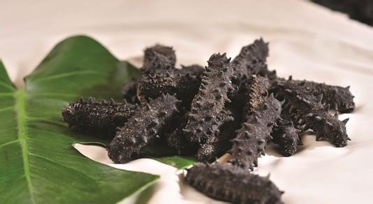 鲜活海参加工完就这么吃,活海参家庭加工即食海参