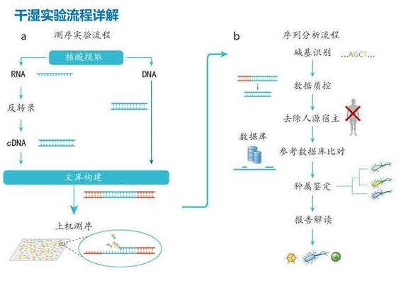 pcr核酸检测技术结果分析,核酸检测方法pcr技术