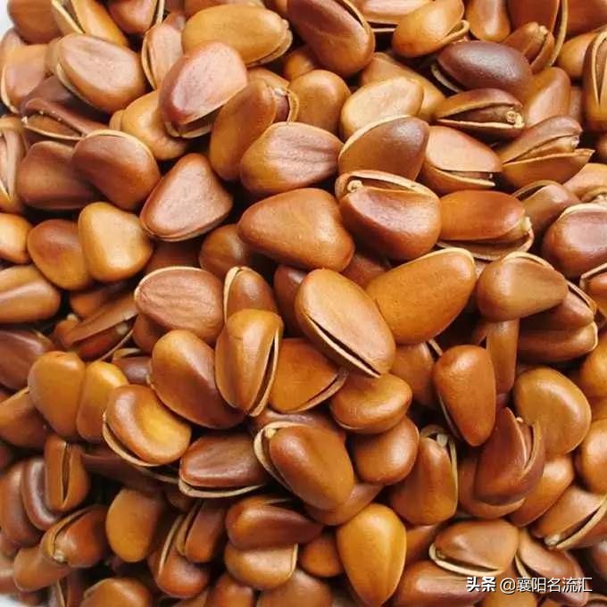 苦等210天，老婆终于吃到了极品松子