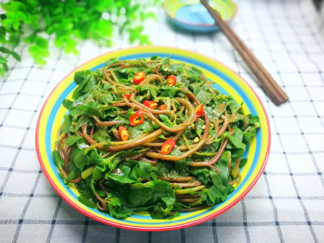 马齿苋是长寿菜你知道吗,马齿苋夏天