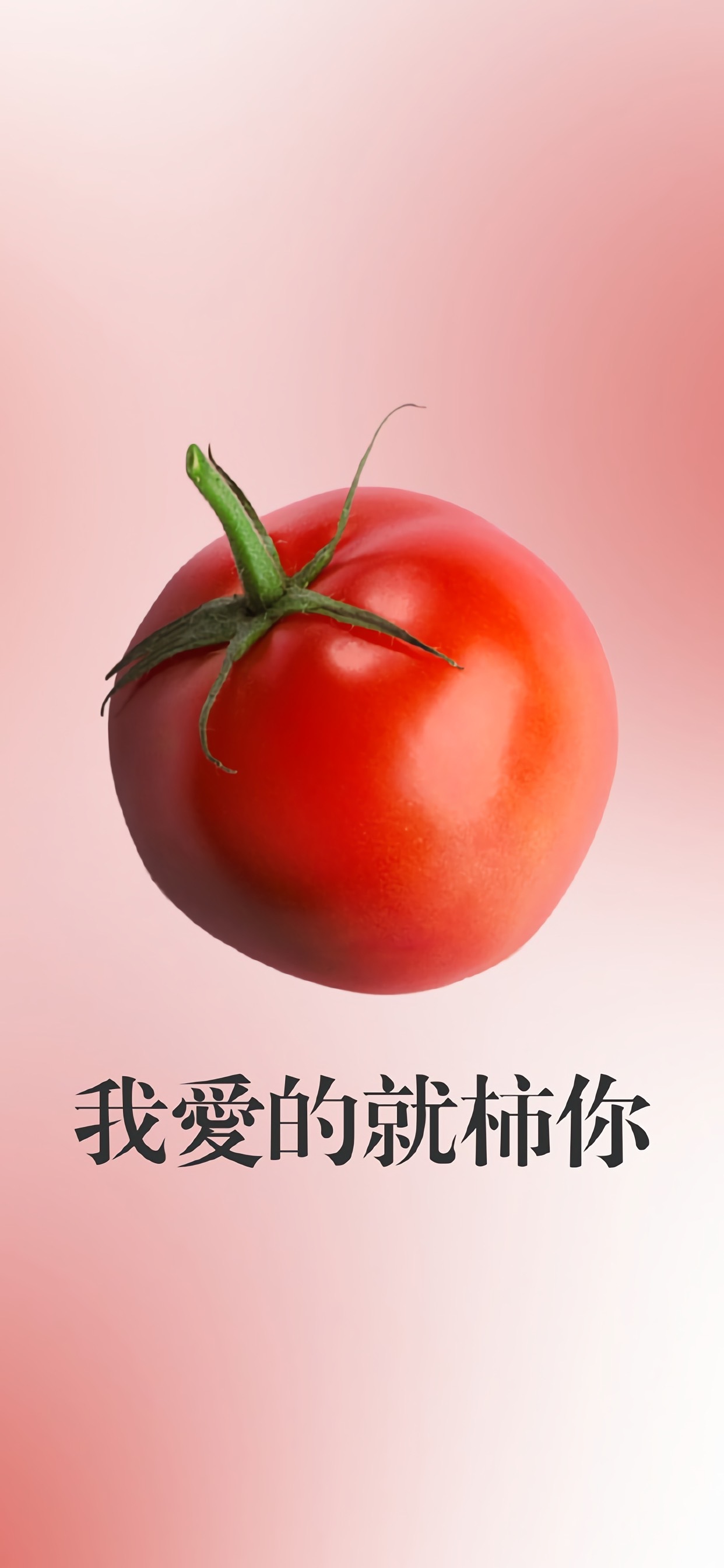 高清美食手机壁纸图片大全,高清手机壁纸美食简约