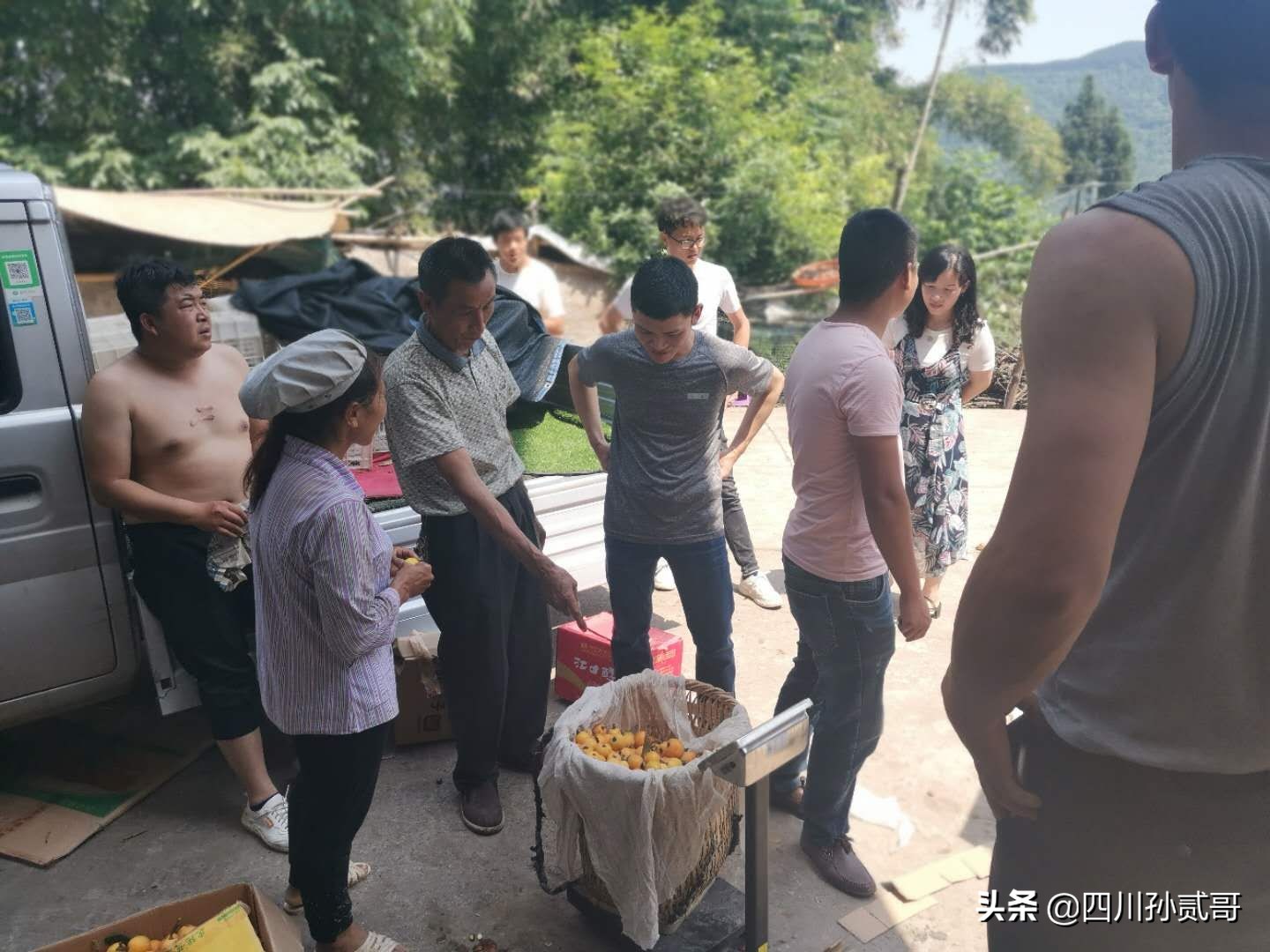 老村长农村电商,老村长农副产品直播间