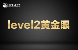 level2看主力资金分析,level2提示主力建仓信号